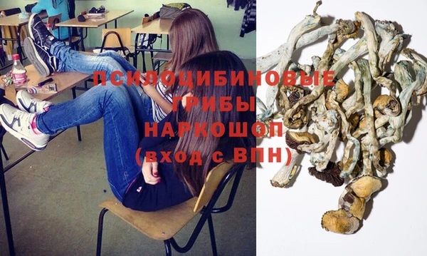 дмт Алзамай