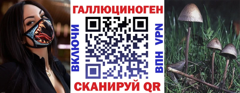 Галлюциногенные грибы Psilocybe  Усолье-Сибирское 