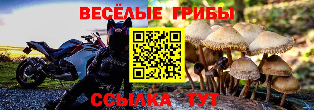 Галлюциногенные грибы мицелий  Вход с VPN  Усолье-Сибирское  Псилоцибиновые грибы ЛСД 